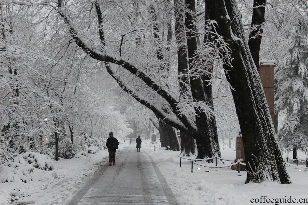 下雪的路